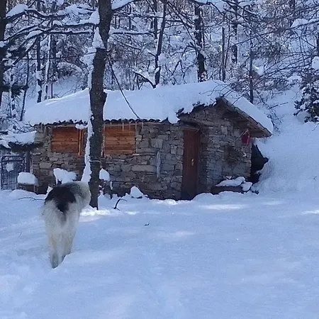 Rifugio Aquilaverde Farm stay